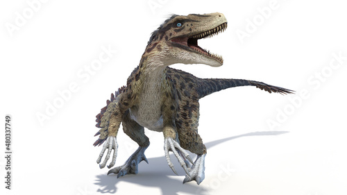 Fototapeta Naklejka Na Ścianę i Meble -  3d rendered illustration of an Utahraptor