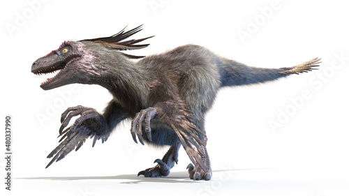 3d rendered illustration of a Velociraptor photo