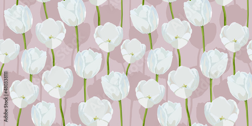 White tulips  seamless pattern