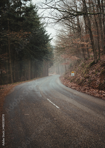 Foggy road in the mountains of Alsace during a cold autumn morning