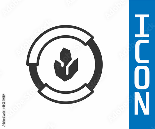 Grey Agricultural soil test and results icon isolated on white background. Digital soil analysis. Vector