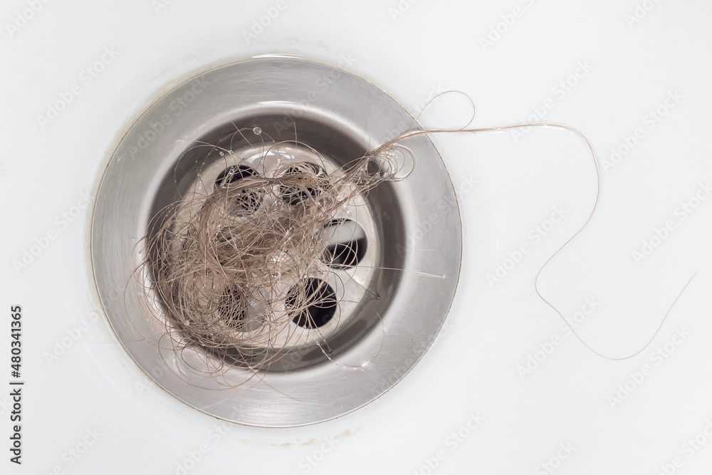 A bundle of blonde women's hair was left in the bathroom drain after taking a shower. Close-up, top view. The problem of hair loss. A bundle of blonde women's hair was left in the bathroom drain after taking a shower. Close-up, top view. The problem of hair loss.
