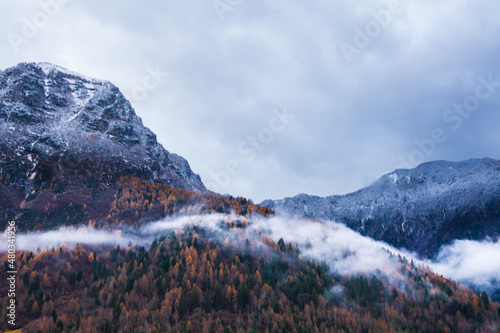 snow covered mountains, mist and autumnal trees photo