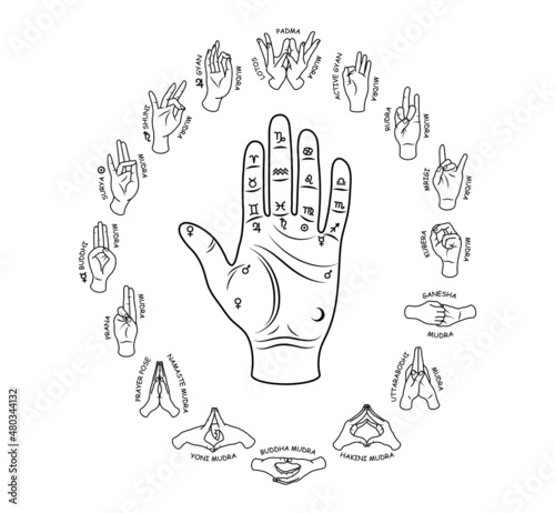 Set of Mudra hands. Collection of yoga for fingers. Healthy exercise for hands people. Reiki technique. Vector illustration of yoga sign on white background.