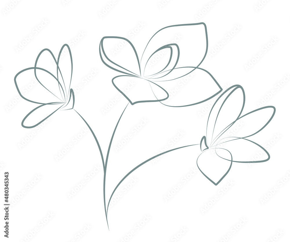 Flower silhouette isolated on white background. Thin and graceful lines. Three buds on a branch. Drawing in the style of minimalism. Flower silhouette isolated on white background. Thin and graceful lines. Three buds on a branch. Drawing in the style of minimalism.