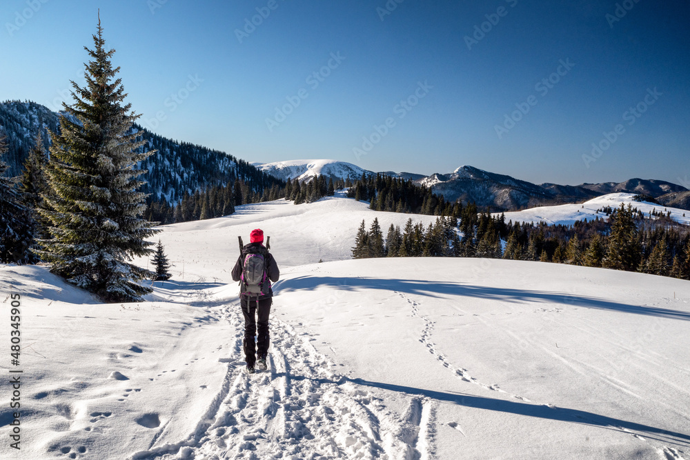 Hiker walking on snowy landscape in forest