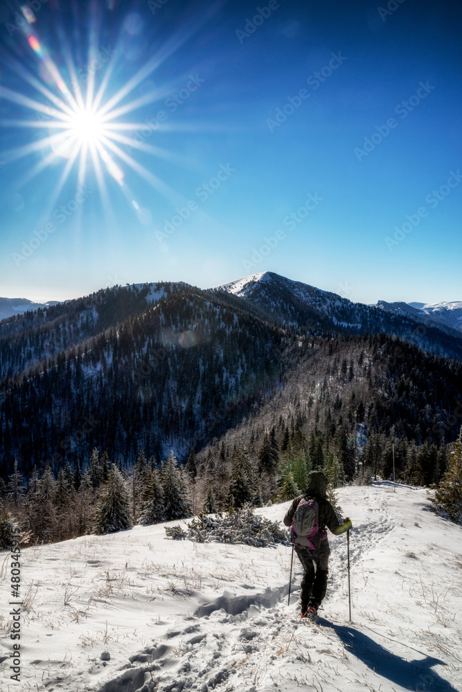 Woman hiker walking on snow in winter country