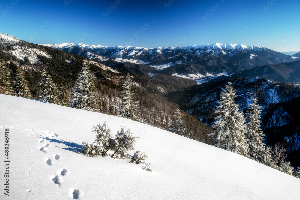 Beautiful snowy country in winter mountains. View from Great Fatra mountains on Low Tatras at Slovakia