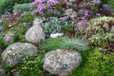 Hill in a decorative garden with stones of different size and different colors. Between stones many plants grow and blossom.
