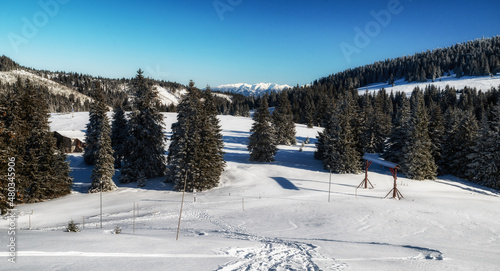 Snowy white landscape in winter mountains © Jaroslav Moravcik