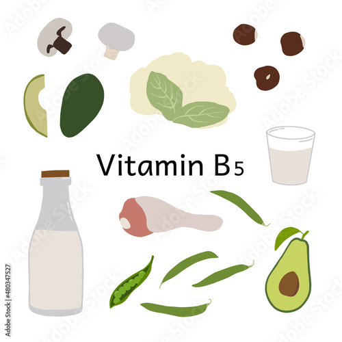 Collection of vitamin B5 sources. Dietetic nutrition, organic natural products. Flat vector cartoon illustration.