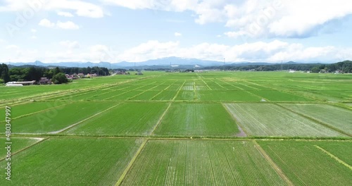 《宮城県・栗原市》春の田園と栗駒山
