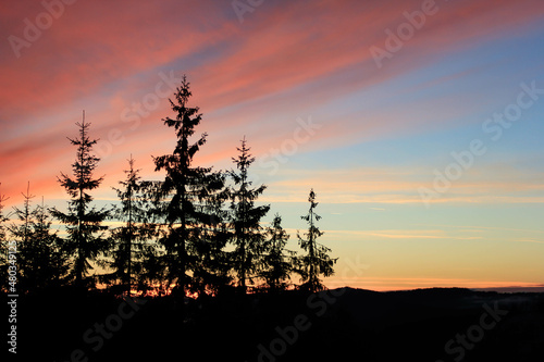 Beautiful colorful vanilla sky sunset over the pine trees