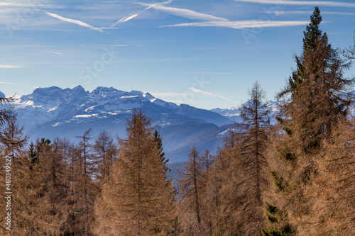 Fototapeta Naklejka Na Ścianę i Meble -  South Tyrol at winter time
