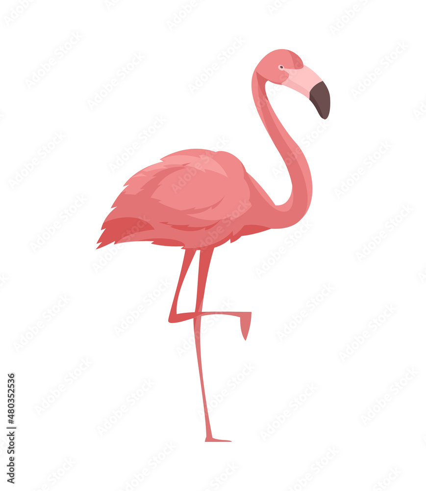 Fototapeta premium Flat Flamingo Illustration