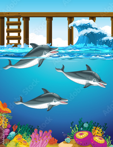 Dolphin swimming in the water with wooden pier