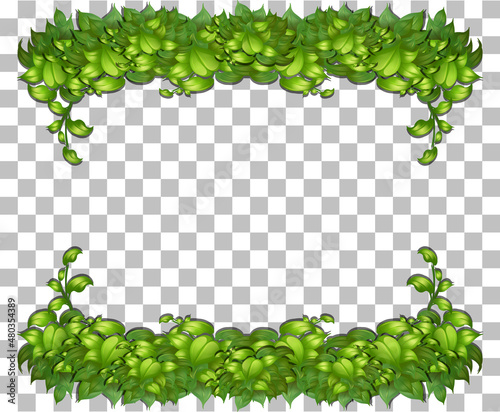 Nature plants frame transparent background