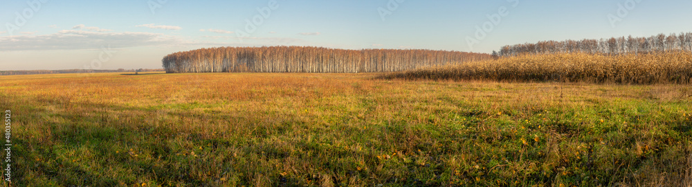 spring landscape. agricultural field in early spring spring landscape. agricultural field in early spring