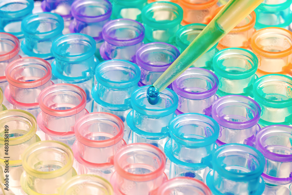 Scientist pipetting a DNA sample into a vials in rack. Researcher working with PCR strip test tubes in genetics laboratory Scientist pipetting a DNA sample into a vials in rack. Researcher working with PCR strip test tubes in genetics laboratory