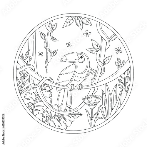toucan bird in the jungle doodle or line drawing illustration