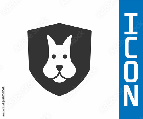 Grey Animal health insurance icon isolated on white background. Pet protection concept. Dog or cat paw print. Vector