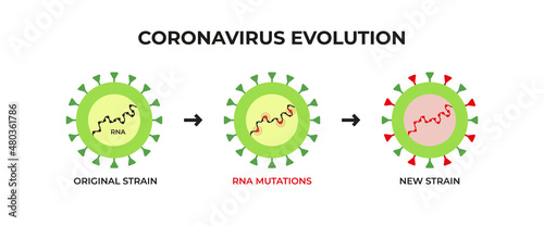 Coronavirus evolution banner. Original strain with RNA mutations becomes new strain like delta or omicron