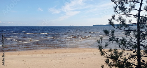 pine coast 1
