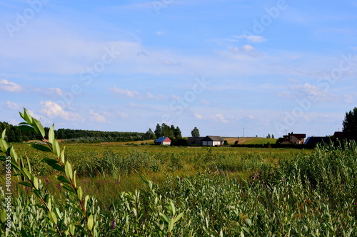 A view of a small wooden path or road leading through a forest and numerous fields, lawns, meadows and pasturelands seen on a sunny summer day next to a small Polish village or cottage during a hike photo