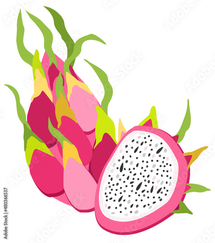 Vector bright isolated illustration of dragon fruits, whole and cutted.