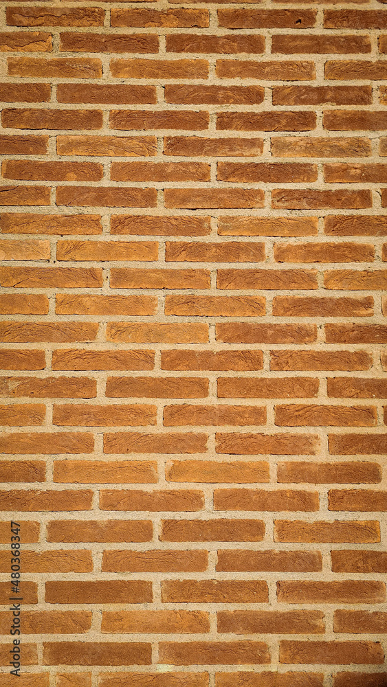 Muro de tijolos Muro de tijolos