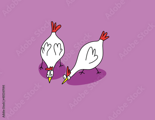 galline che beccano affamate