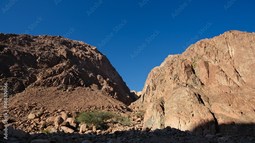 Sinai mountains and oaisis