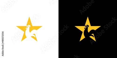 Modern and elegant chicken star logo design 1
