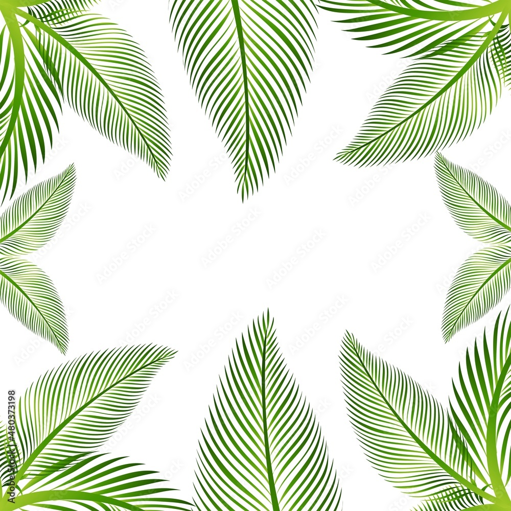 Beautiful decorative green palm leaf tropical background