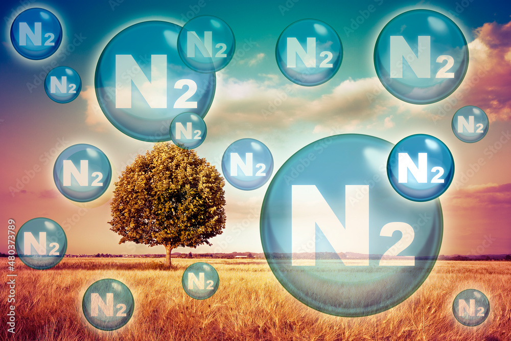 N2 nitrogen gas is the main constituent of the earth's atmosphere - concept with nitrogen molecules against a natural rural scene - obrazy, fototapety, plakaty 
