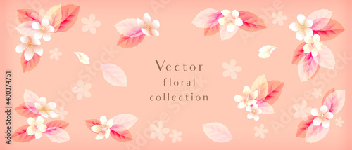 Elegant Spring Flowers Vector illustration 　エレガントなピンクの花のベクター　
