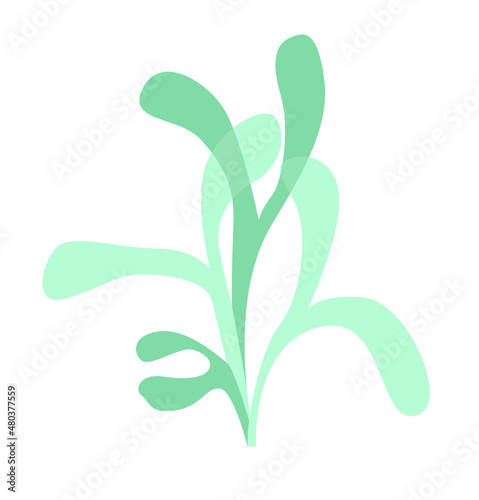 The logo of the plant kingdom, algae, seaweed, lichens, mosses.