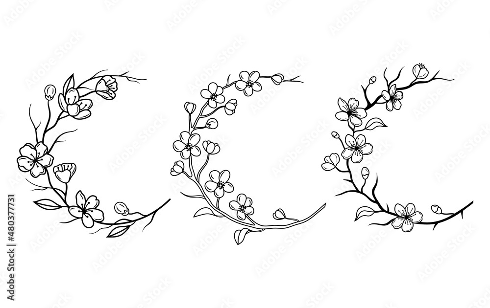 Set of blooming cherry wreath. Collection of sakura branch with flower buds. Sakura crescent moon. Colorful illustration of a blooming tree. Spring flowers of Japanese cherry. Wedding flower. Tattoos.