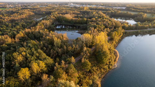 Fototapeta Naklejka Na Ścianę i Meble -  Aerial view of the forests and lakes of Blakheide, Merksplas, Belgium, Europe. High quality photo