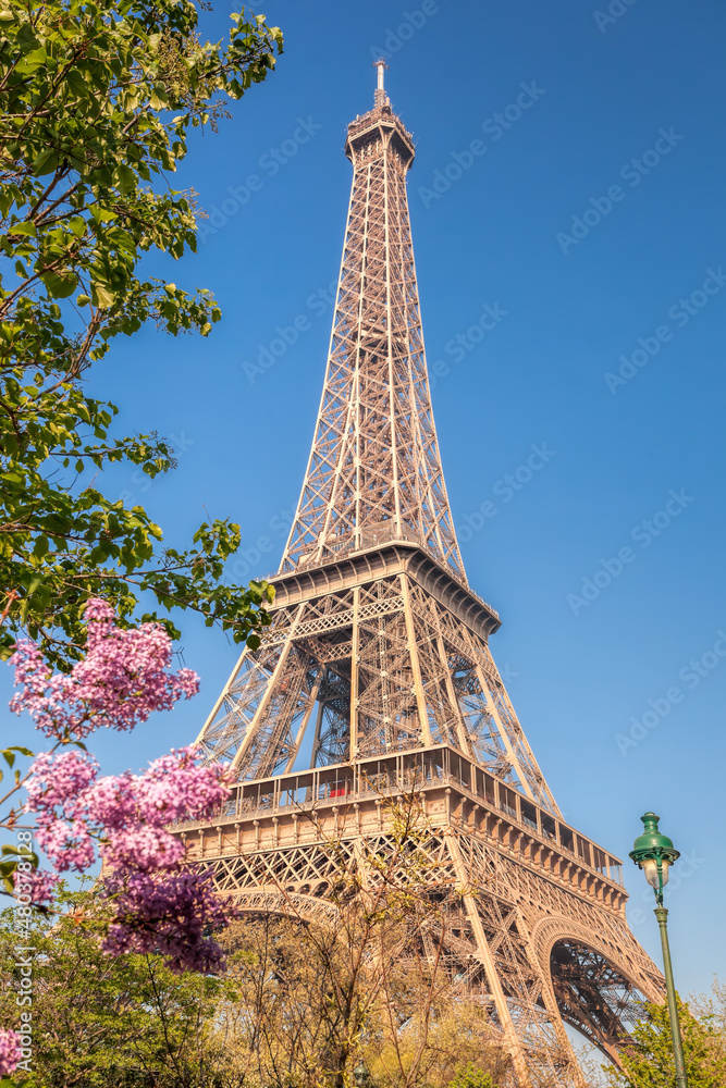 Eiffel Tower with spring trees against blue sky in Paris, France