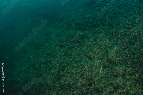 clean and clear water and bottom © Marina