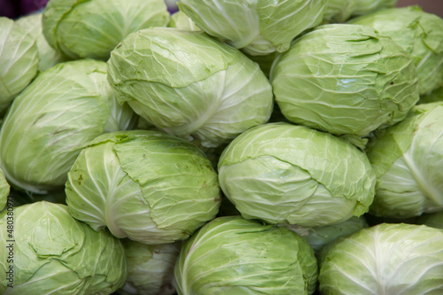 cabbage in the market, close up