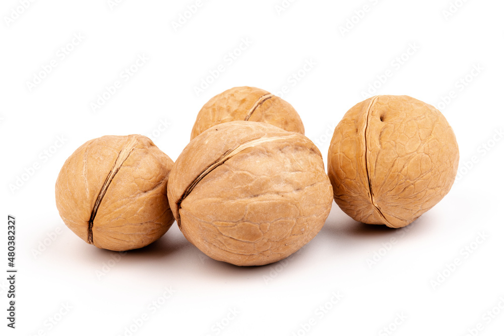 Walnuts in shells isolated on white background. Package design element with clipping path. Walnuts in shells isolated on white background. Package design element with clipping path.