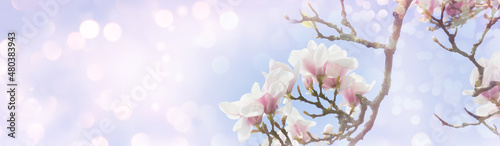 Spring background banner wi...