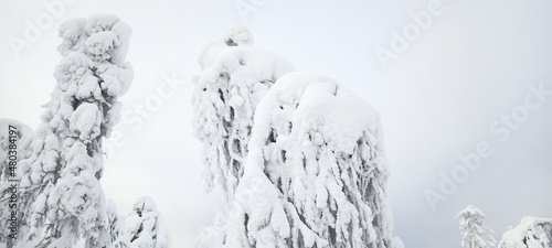 Winter in Permsky Kray, Russia photo