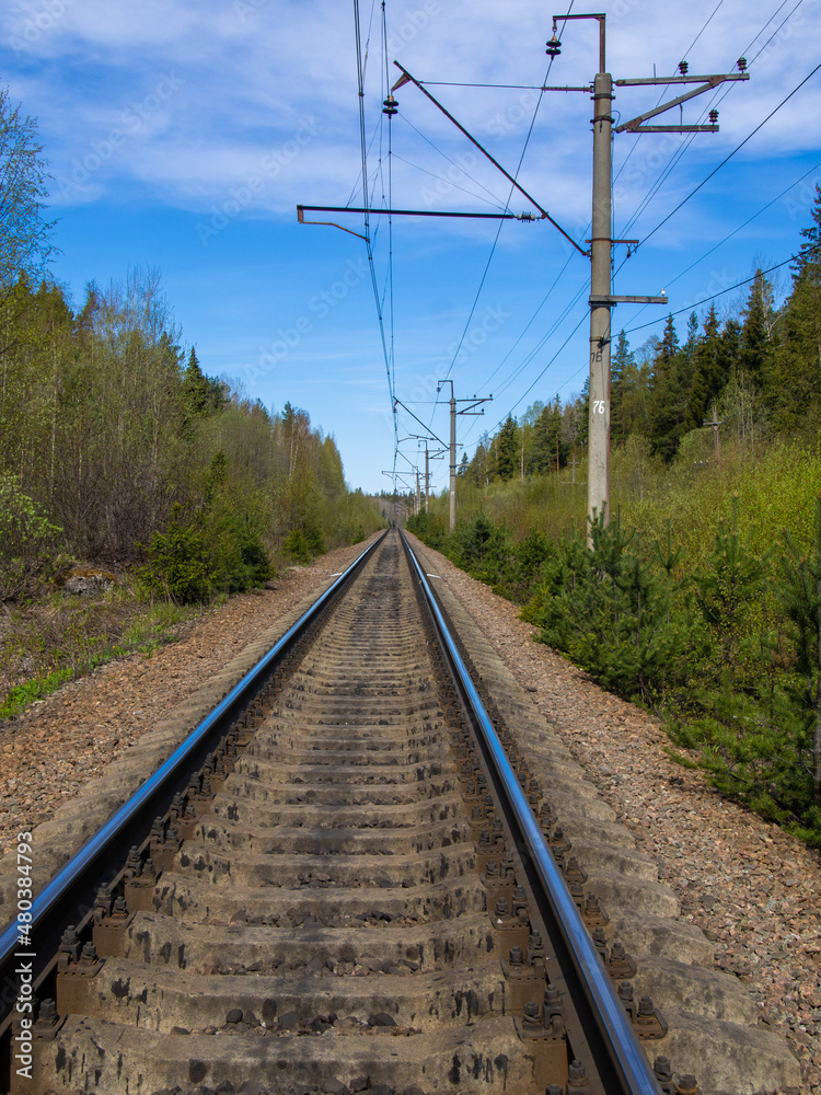 A single track railway in a forest belt. An industrial landscape with a railway. Perspective, the rails rush into the distance towards the horizon.