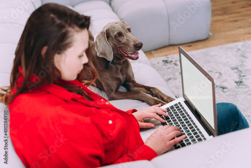  Woman playing with her dog in the living room and working with computer photo