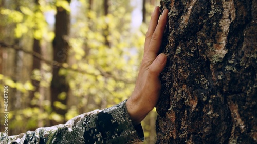 Hand touch the tree trunk. Man hand touches a pine tree trunk, close-up. Human hand touches a tree trunk. Bark wood. Wild forest travel. Ecology - a energy forest nature concept.. photo