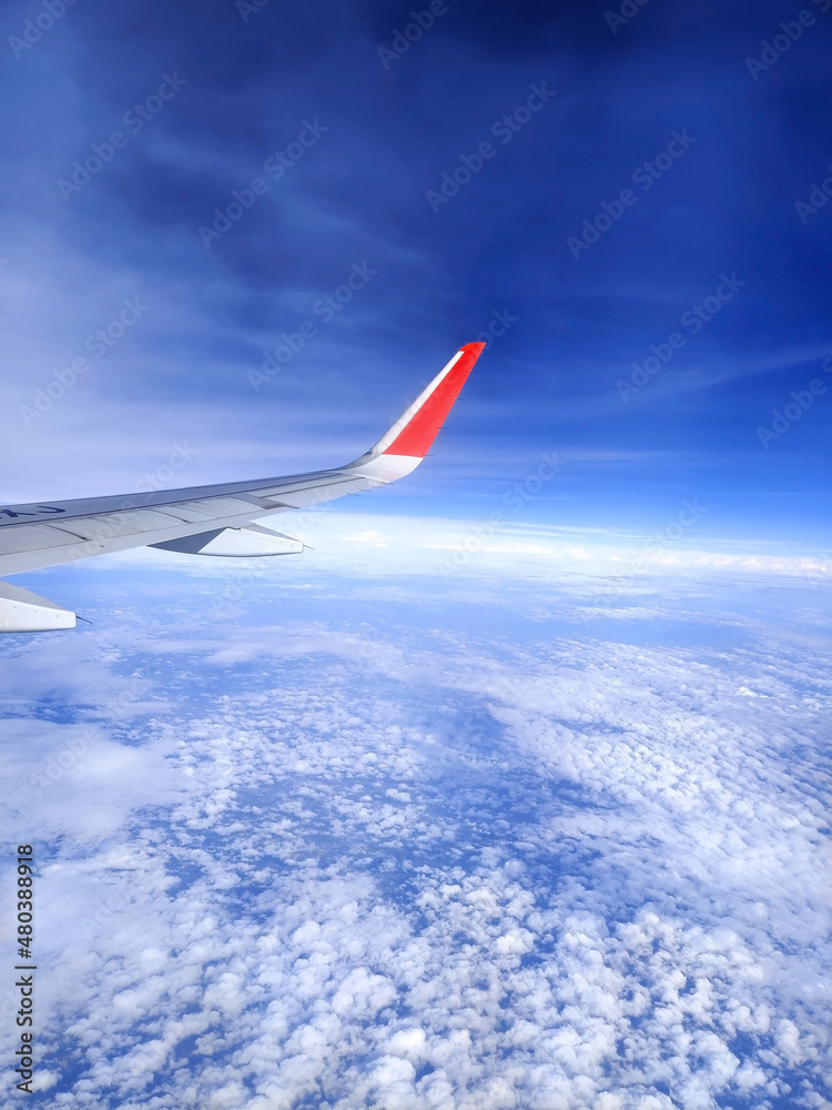 wing of the plane wing of the plane