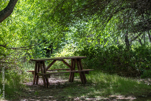 A wooden bench in the park. Food table in the forest.